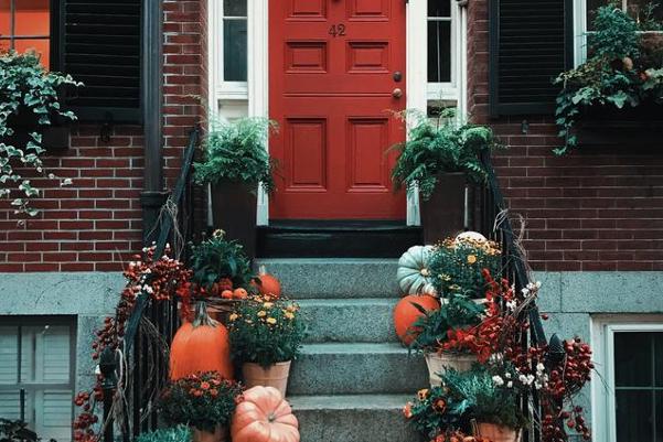 How to Make a Succulent-Topped Pumpkin