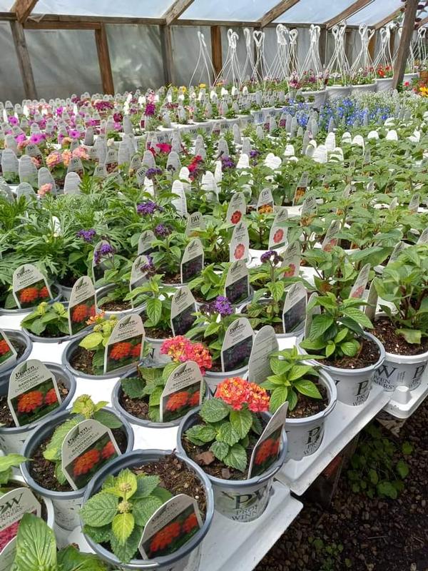 DISCOVER YOUR GREEN THUMB'S BEST FRIEND